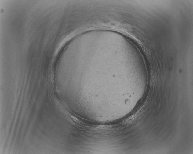 X0000067391506200604211620