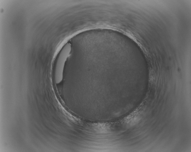 X0000067391508200604211620