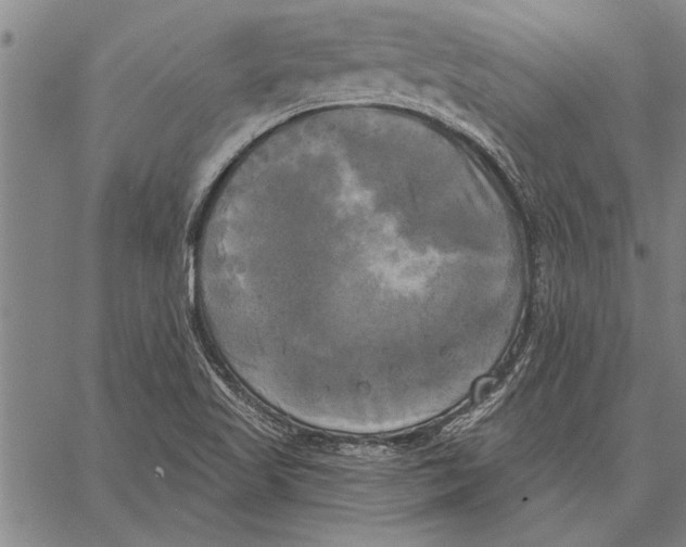 X0000067391509200604211620