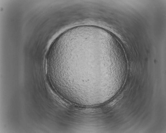 X0000067391510200604211620