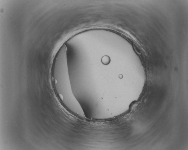 X0000067391512200604211620