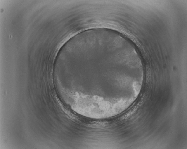 X0000067391513200604211620