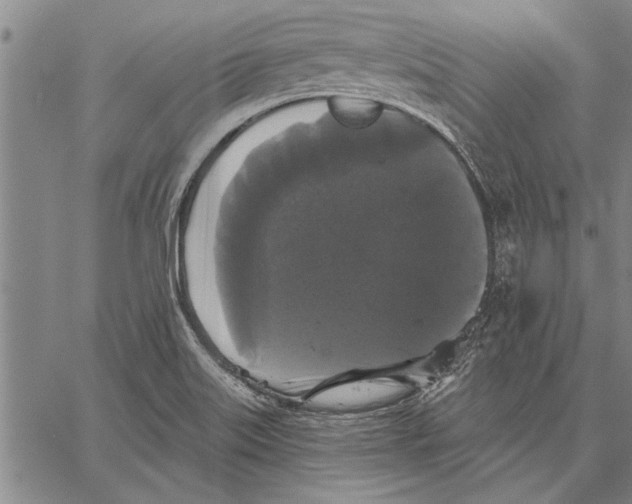 X0000067391515200604211620