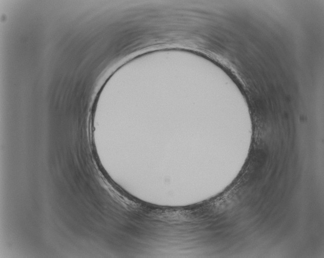 X0000067391516200604211620