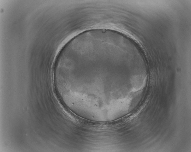 X0000067391517200604211620