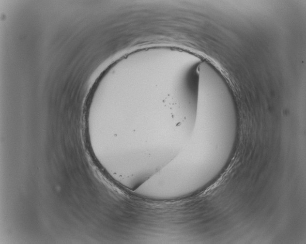 X0000067391518200604211620