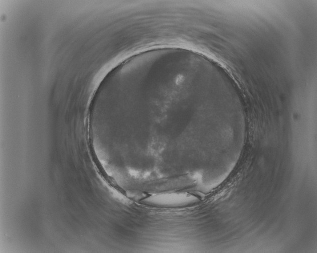 X0000067391519200604211620