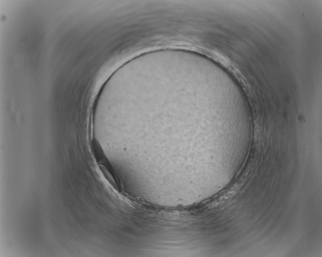 X0000067391520200604211620