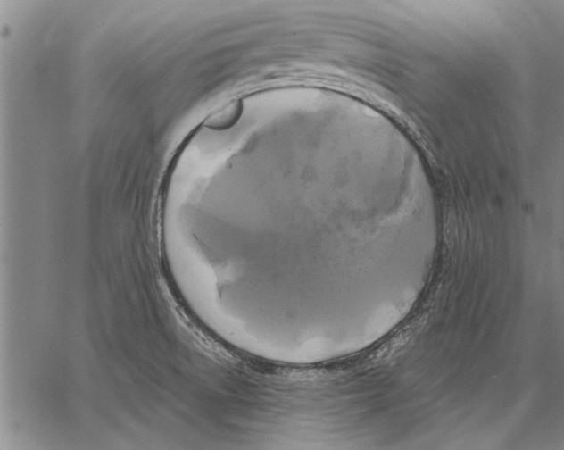 X0000067391522200604211620