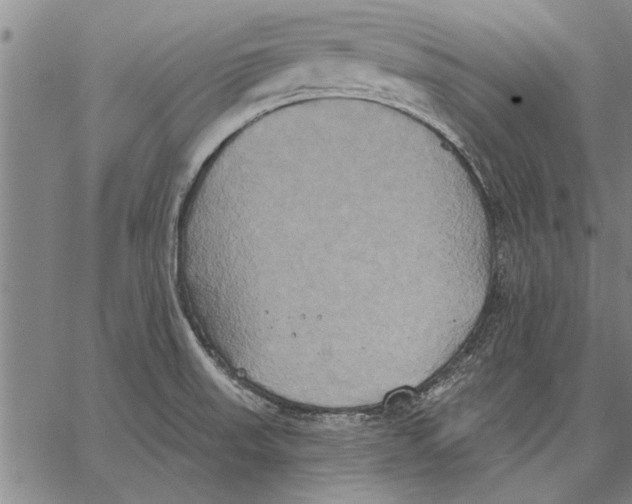 X0000067391523200604211620