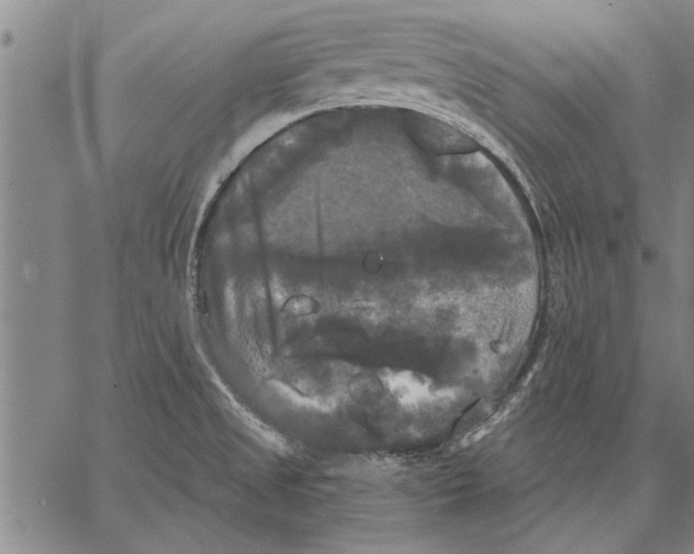 X0000067391525200604211620