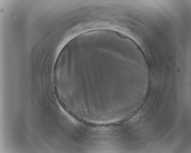 X0000067391527200604211620