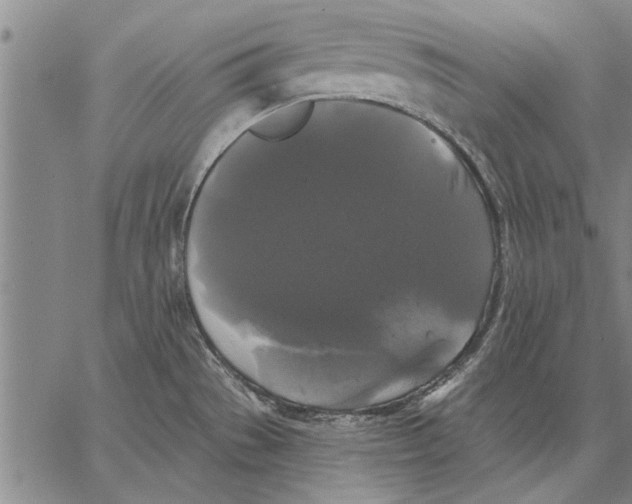 X0000067391529200604211620