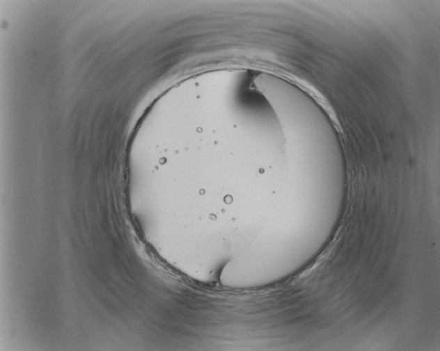 X0000067391530200604211620