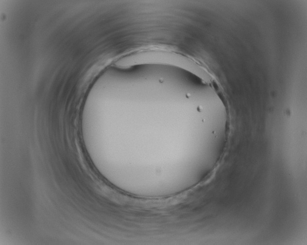 X0000067390001200604281854