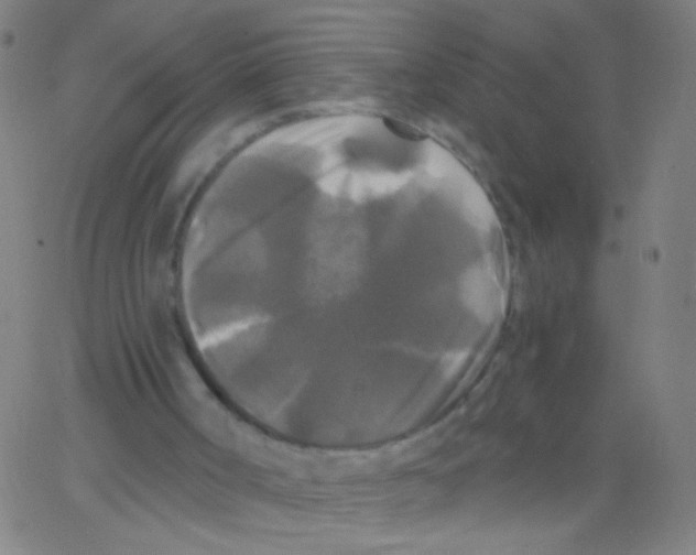 X0000067390002200604281854