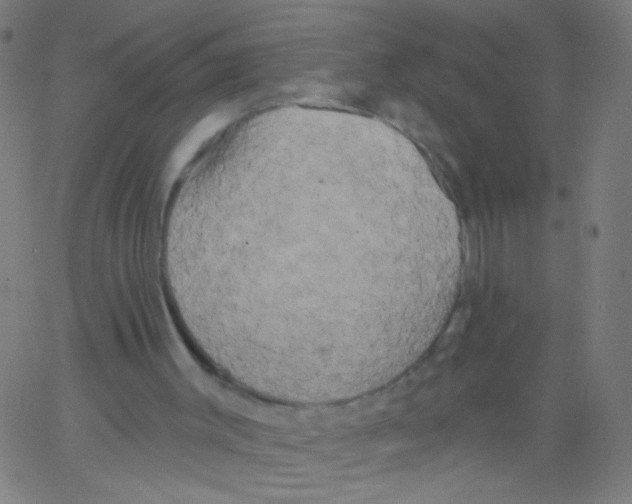 X0000067390003200604281854