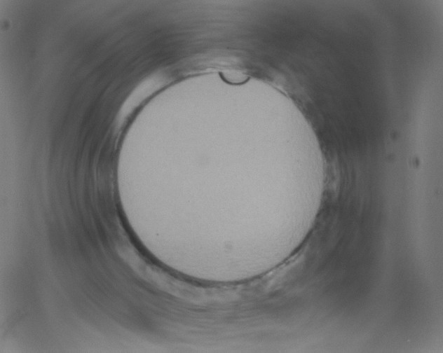 X0000067390004200604281854