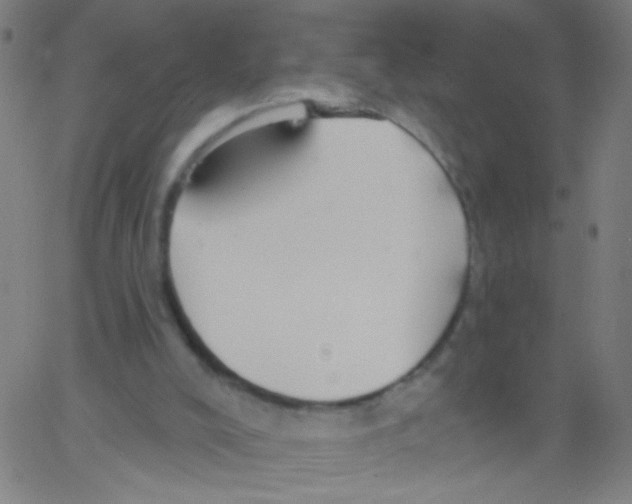 X0000067390008200604281854