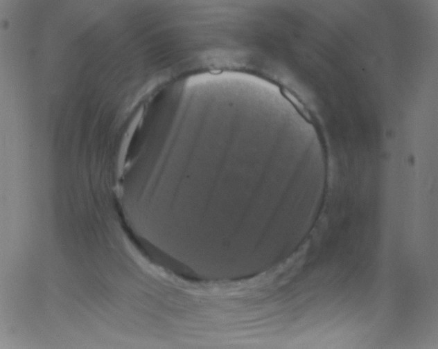 X0000067390009200604281854