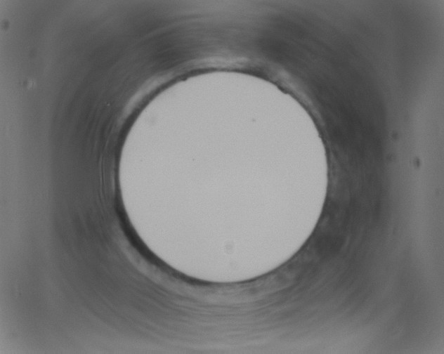 X0000067390011200604281854