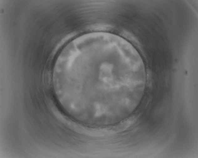 X0000067390012200604281854