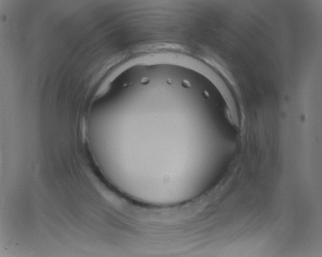 X0000067390013200604281854