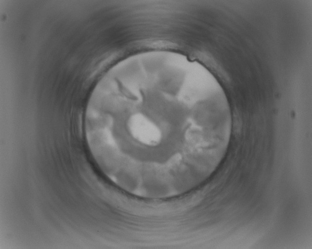 X0000067390014200604281854