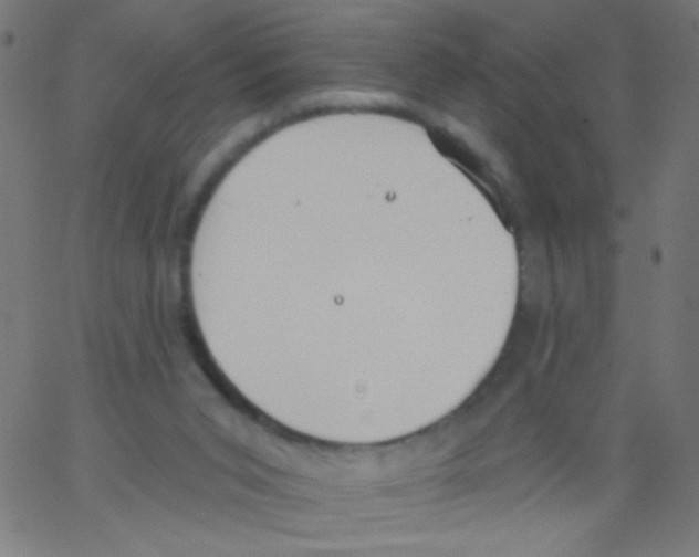 X0000067390015200604281854