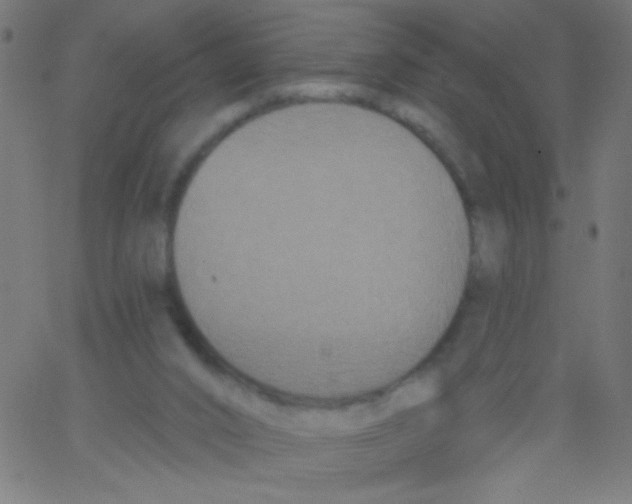 X0000067390016200604281854