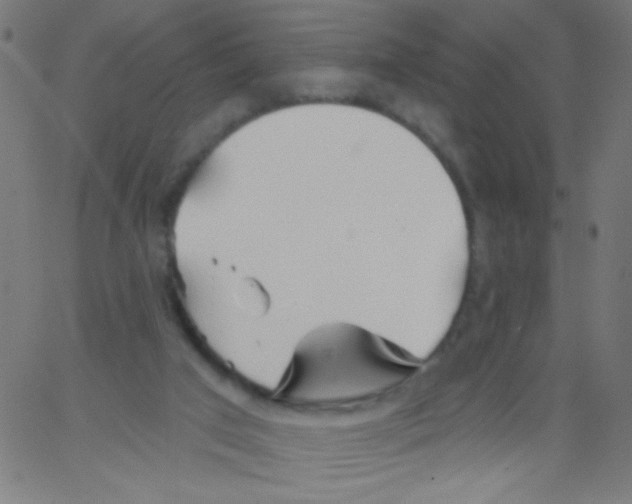 X0000067390017200604281854