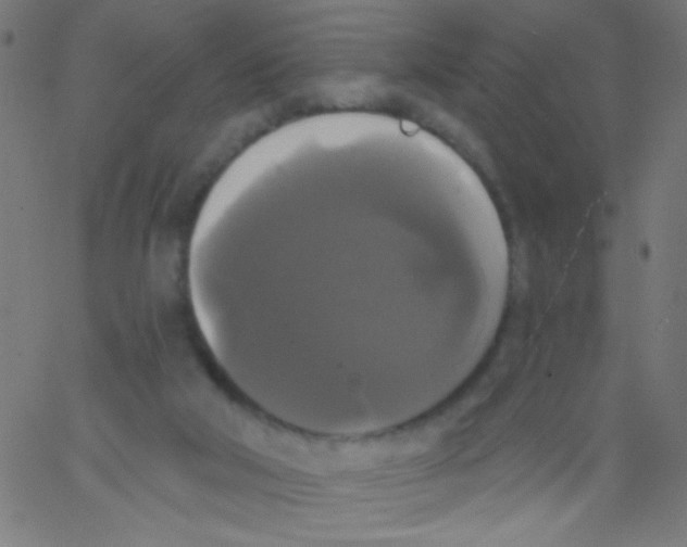 X0000067390018200604281854