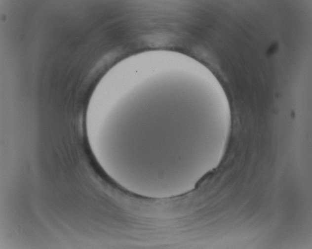 X0000067390019200604281854