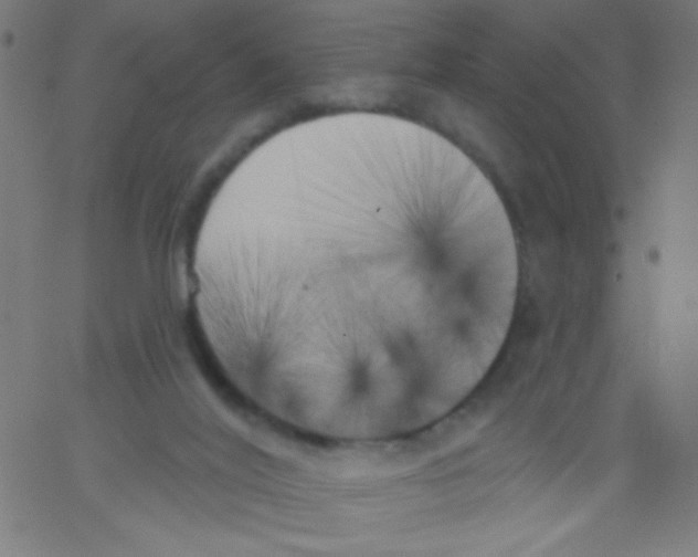 X0000067390020200604281854