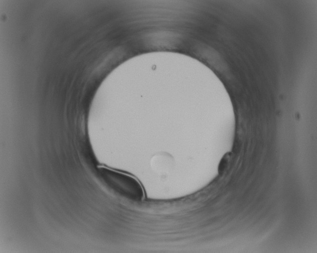 X0000067390021200604281854