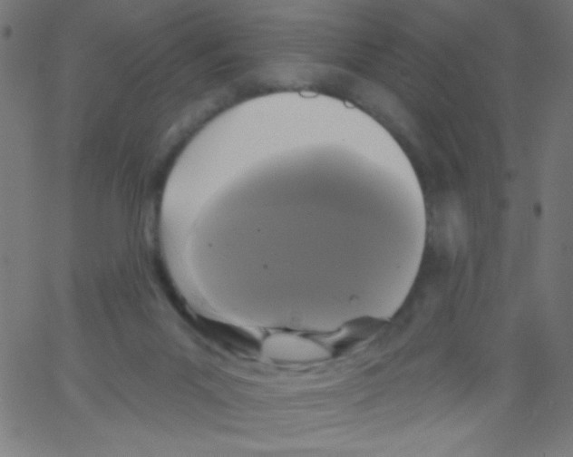 X0000067390023200604281854