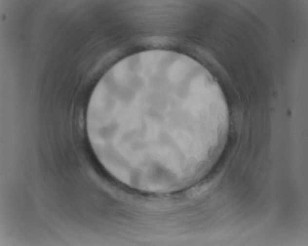 X0000067390024200604281854