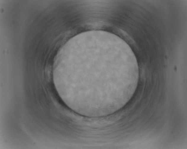 X0000067390026200604281854