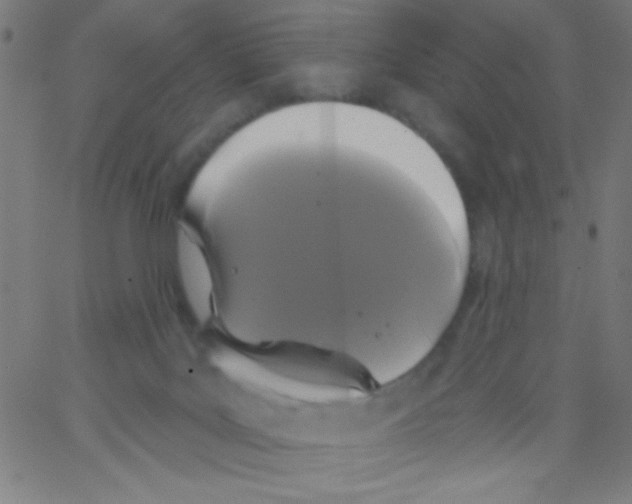 X0000067390027200604281854