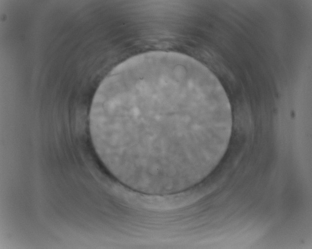 X0000067390030200604281854