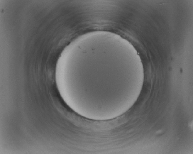 X0000067390031200604281854