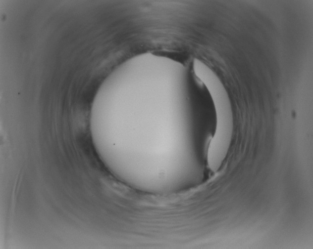 X0000067390033200604281854