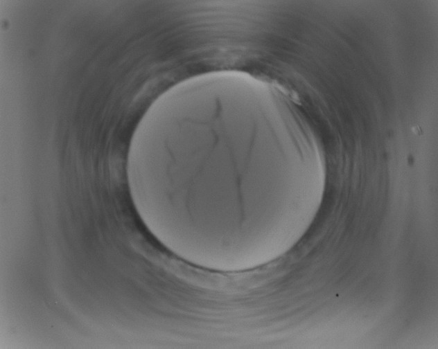 X0000067390035200604281854