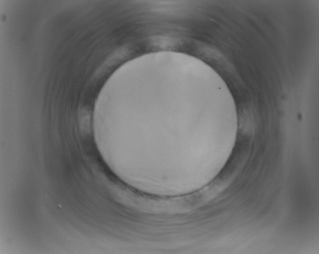 X0000067390036200604281854