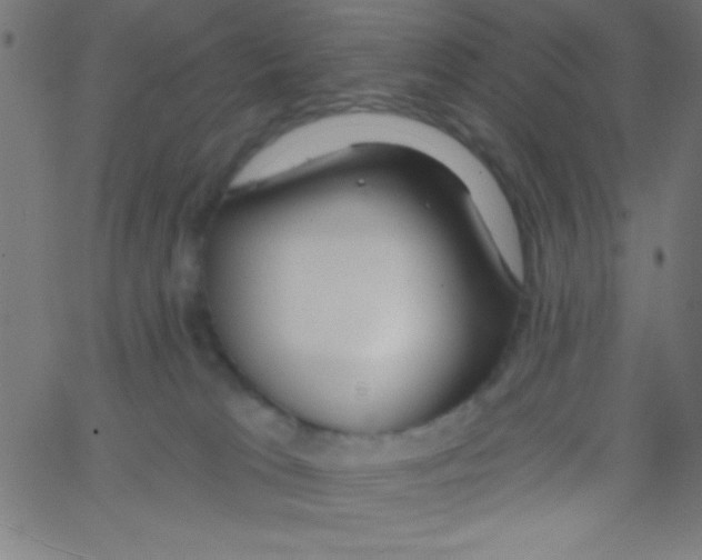 X0000067390037200604281854