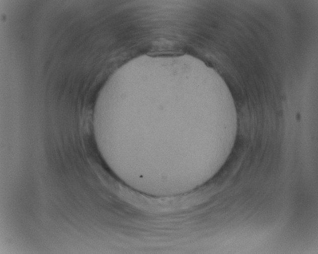 X0000067390038200604281854