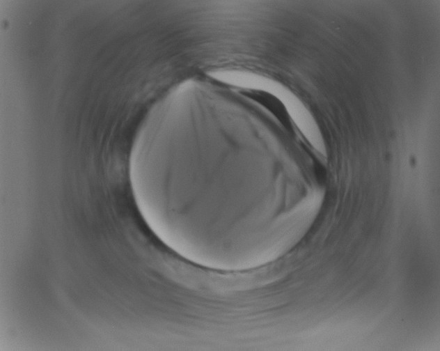 X0000067390039200604281854