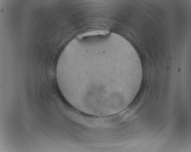 X0000067390040200604281853