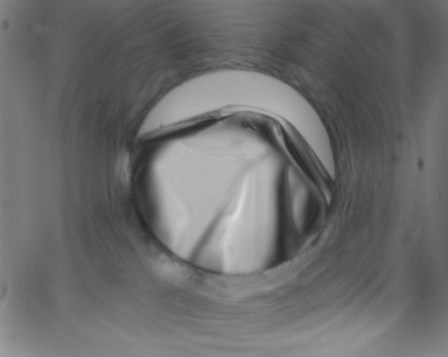 X0000067390041200604281853