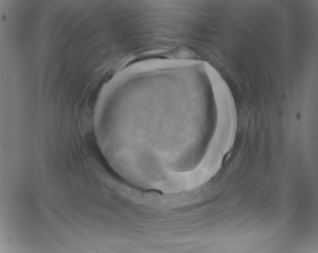 X0000067390043200604281853